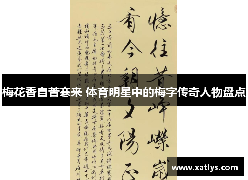 梅花香自苦寒来 体育明星中的梅字传奇人物盘点
